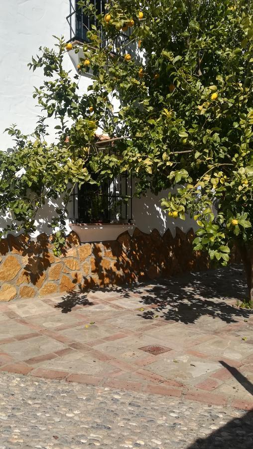 הוילה סהרה דה לה סיירה El Penon מראה חיצוני תמונה